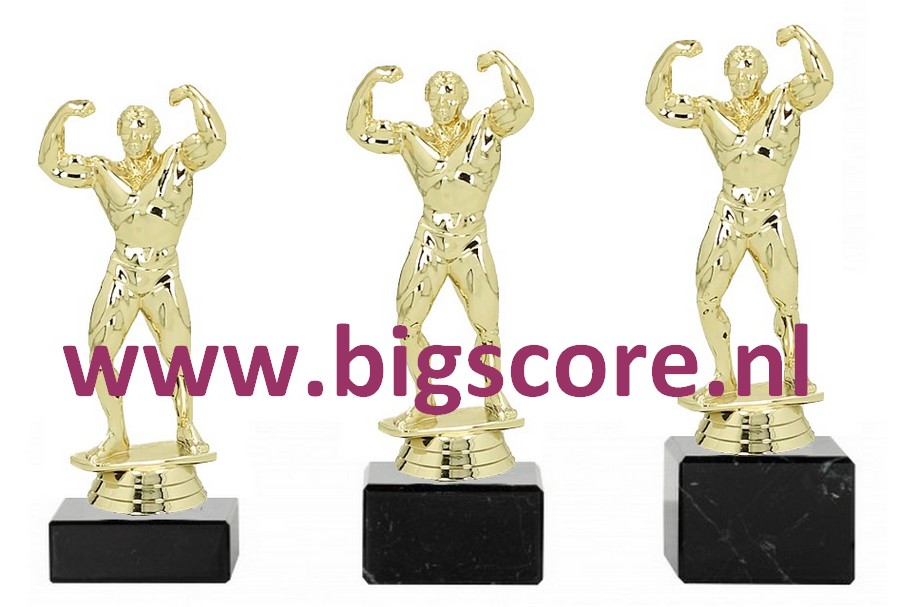Bodybuilder Heer Goud 400-G